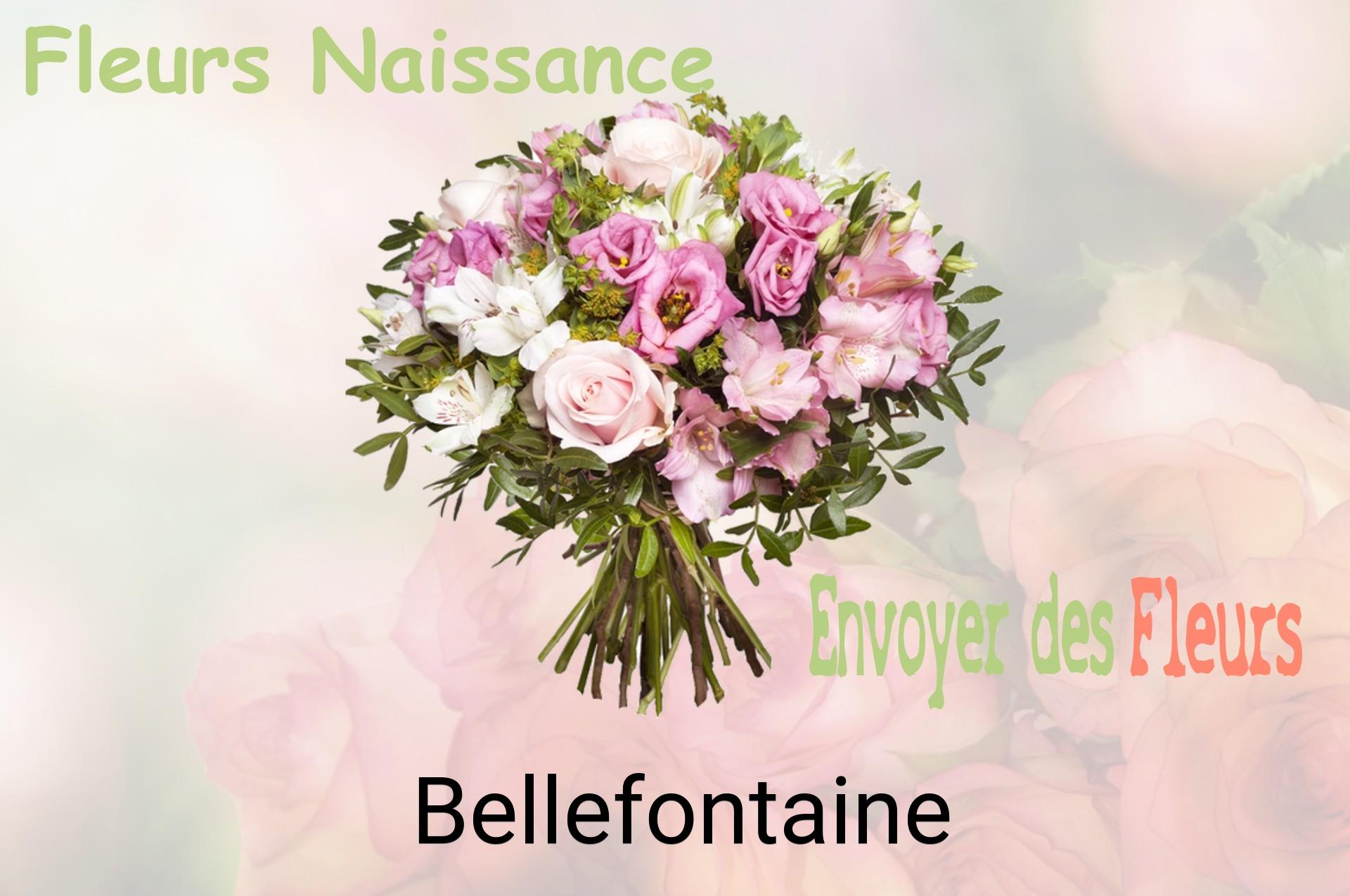 Bouquet de fleurs de naissance livré à Bellefontaine